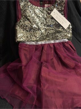 Art Class Gold Sequin Bodice Plum Tulle Party Dress